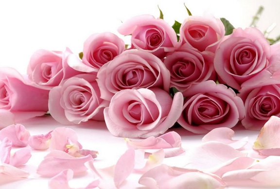 rose